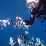 チャットレディ口コミ・体験談 錦糸町店 さとみさん